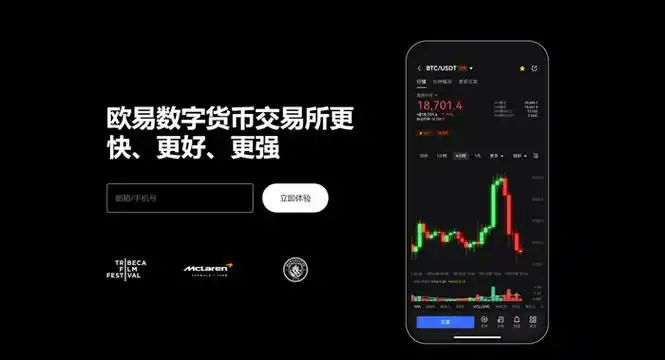 欧艺官网入口系统展示图